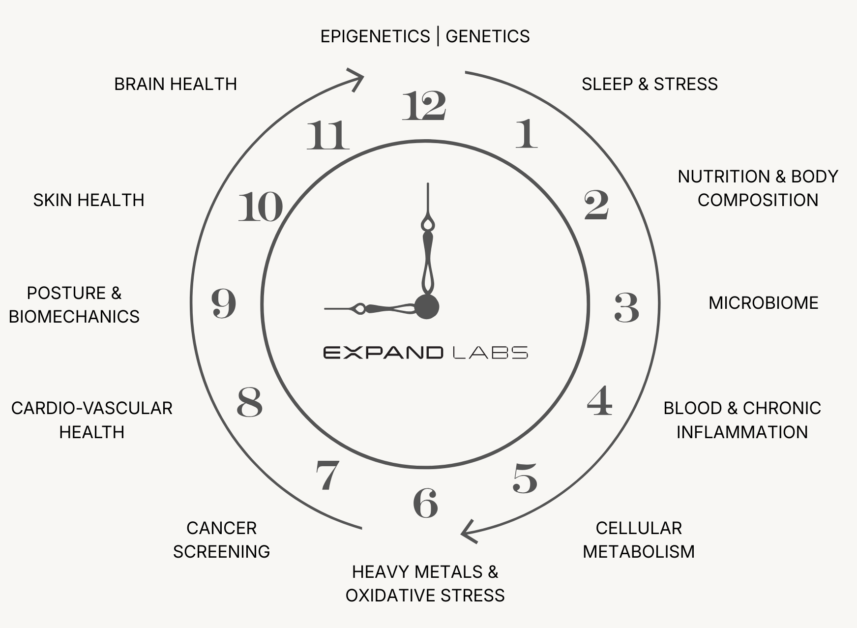 Anamneză și evaluare inițială longevitate personalizată — Expand Labs