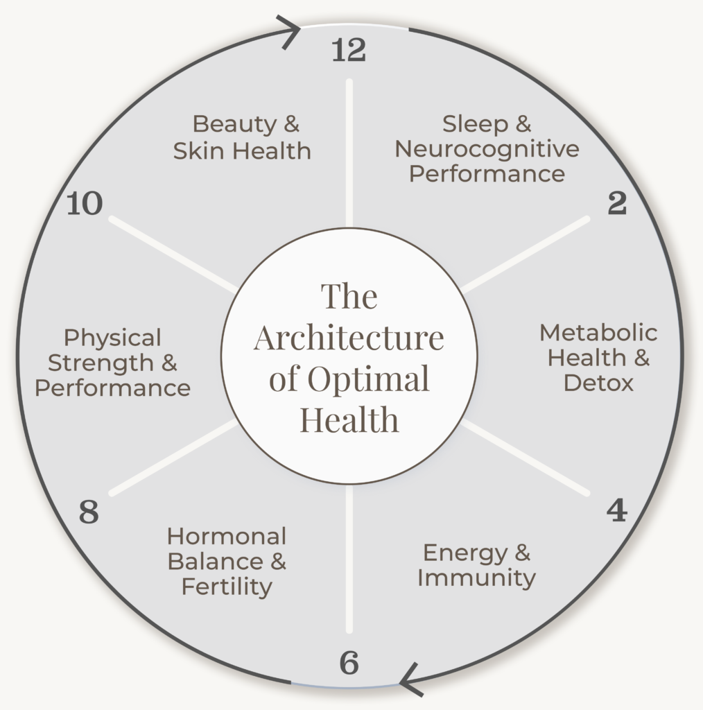 Diagrama protocol longevitate personalizat Expand Labs
